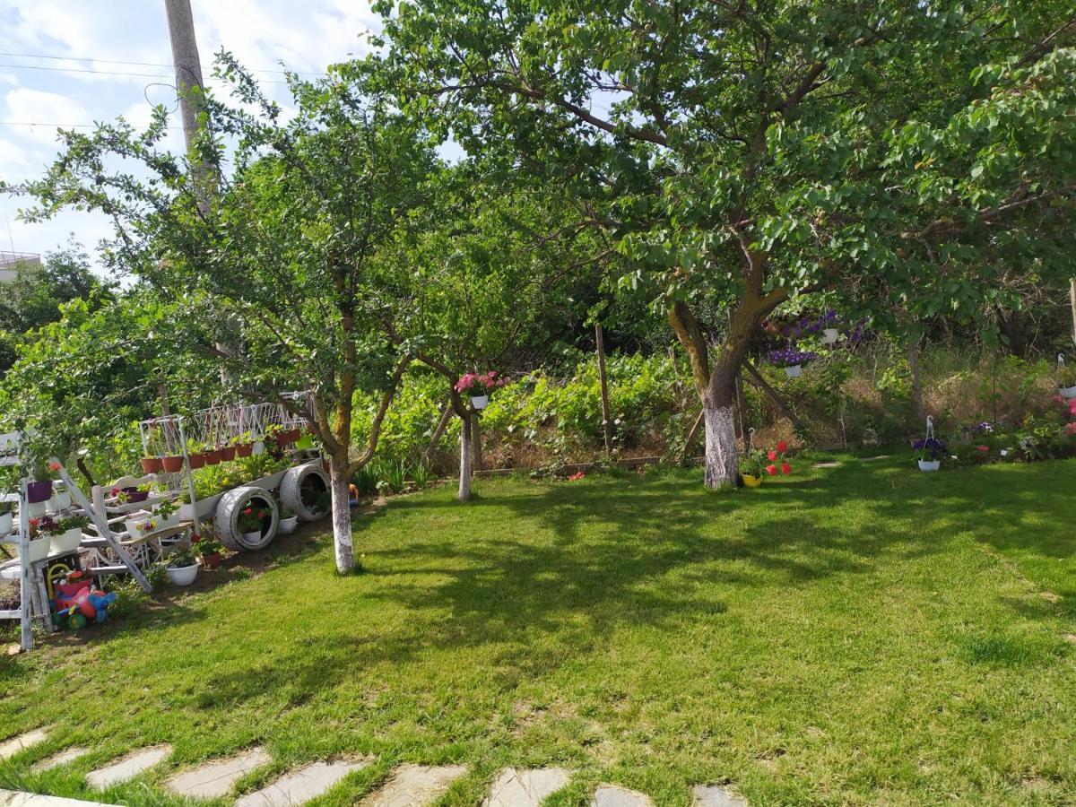 Villa Savovi Varna Exteriér fotografie